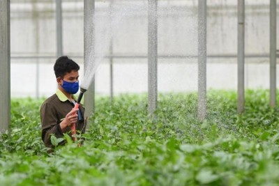 Ngày Lương thực thế giới: Xây dựng hệ thống lương thực bền vững