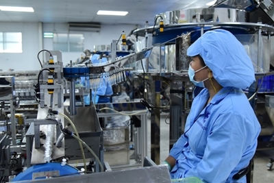 TP. Hồ Chí Minh kích cầu đầu tư cho 15 dự án công nghiệp hỗ trợ