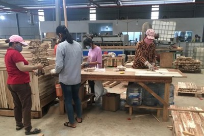 Xây dựng chuỗi cung ứng gỗ hợp pháp gắn với quản lý rừng bền vững