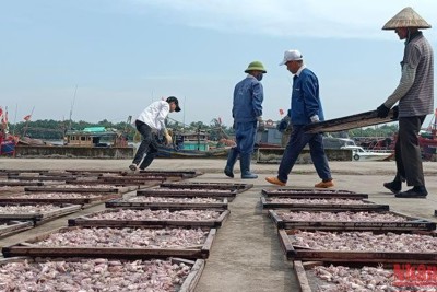 Thái Bình phát triển kinh tế biển hướng tới tăng trưởng xanh
