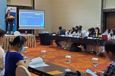 Thu hút FDI từ EU chưa đạt kỳ vọng