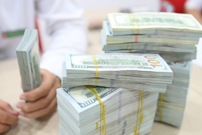 Kiều hối chuyển về TP. Hồ Chí Minh đạt 4,78 tỷ USD