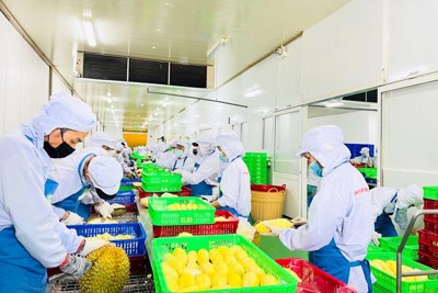 Tăng tốc xuất khẩu nông sản cuối năm