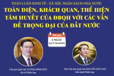 Nhiều vấn đề được làm rõ tại Phiên thảo luận về tình hình kinh tế - xã hội, ngân sách nhà nước