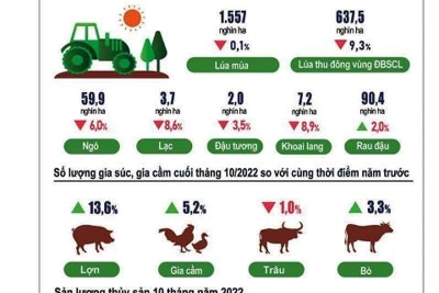 Kinh tế 10 tháng tiếp tục phục hồi ở hầu hết các lĩnh vực