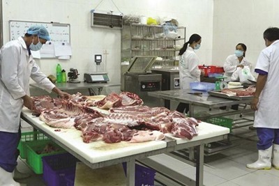 Thúc đẩy hợp tác xã chăn nuôi phát triển