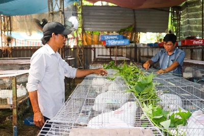 Bà Rịa - Vũng Tàu: Các ngành kinh tế đều tăng trưởng khá
