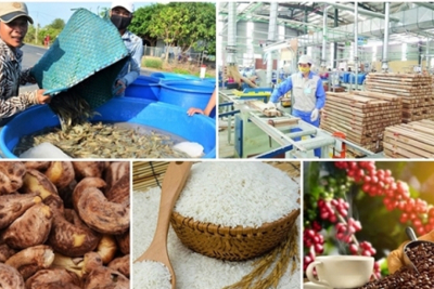 Nông sản tìm cách mở rộng thị trường Vương quốc Anh