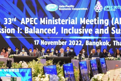 Việt Nam kêu gọi tăng cường hợp tác giữa các thành viên APEC