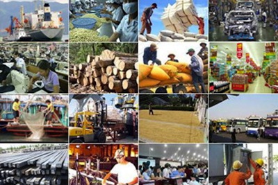 Những dự báo lạc quan