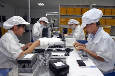 Hỗ trợ doanh nghiệp xúc tiến thương mại trực tiếp tại thị trường UAE