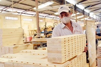 Vì sao doanh nghiệp Trung Quốc đầu tư vào Việt Nam?