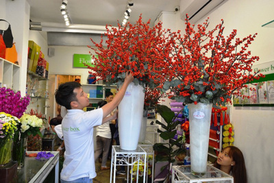 Chi tiền triệu mua hoa ngoại chưng Tết