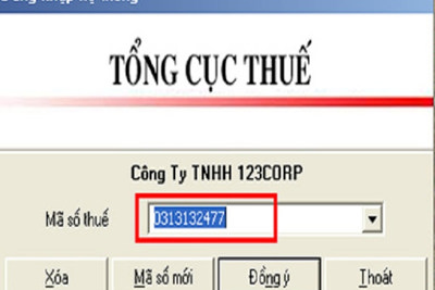 Từ ngày 4/01/2021, mã số doanh nghiệp là mã số đơn vị tham gia bảo hiểm xã hội