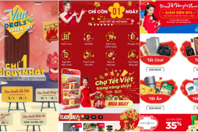 Chợ Tết online nhộn nhịp mở cửa
