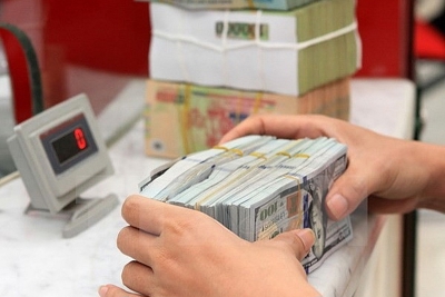 Chính sách tiền tệ sẽ được dần tiêu chuẩn hóa trong năm 2019?