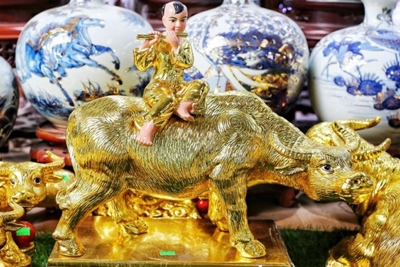 "Sốt" săn lùng trâu mạ vàng làm quà tặng Tết
