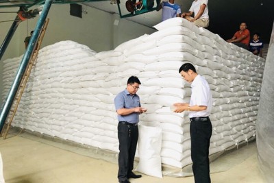 Cục Dự trữ Nhà nước khu vực Hoàng Liên Sơn: Bảo quản an toàn vật tư, hàng hóa dự trữ quốc gia