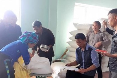 Nét đẹp con người và vùng kho Cục Dự trữ Nhà nước khu vực Đông Bắc