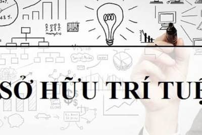 Thể chế hóa quyền sở hữu tài sản: Hạn chế trong thực thi quyền Sở hữu trí tuệ