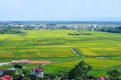 Xử phạt vi phạm hành chính trong lĩnh vực đất đai: Chưa đủ sức răn đe