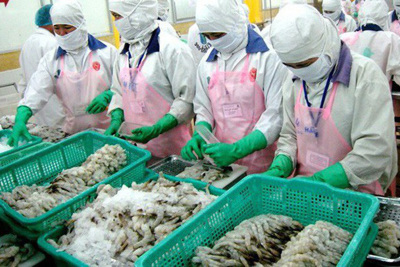 Mỹ điều tra hành vi lẩn tránh thuế sản phẩm tôm xuất khẩu