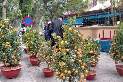 Đi chợ truyền thống ngày giáp Tết: Vượt ra khỏi ranh giới bán - mua