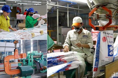 Thêm nhiều lực đẩy hỗ trợ doanh nghiệp tư nhân kinh doanh bền vững