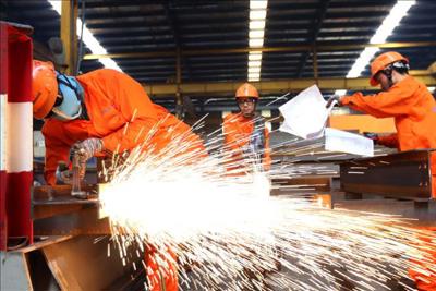 Bảo hiểm tai nạn lao động, bệnh nghề nghiệp: Hỗ trợ phòng ngừa, chia sẻ rủi ro