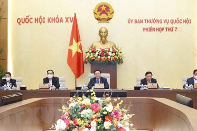 Phiên họp thứ 8 của Ủy ban Thường vụ Quốc hội khai mạc ngày 15/2