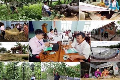Nâng mức cho vay tối đa đối với hộ nghèo phục vụ sản xuất kinh doanh