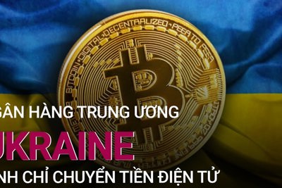 Ngân hàng Trung ương Ukraine đình chỉ chuyển tiền điện tử