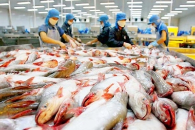 Vượt trở ngại đầu năm