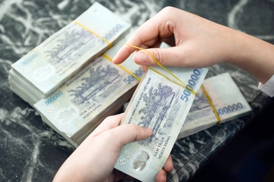 Hạ lãi suất, chủ động cho vay ngoại tệ ngắn hạn với doanh nghiệp lúa gạo