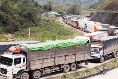 Doanh nghiệp cần cân nhắc việc đưa rau quả tươi lên các cửa khẩu Lạng Sơn