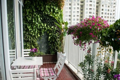 Cách tạo không gian xanh cho căn hộ chung cư