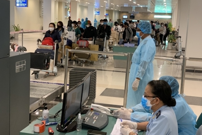 Ngành Hải quan đẩy mạnh cung cấp dịch vụ công trực tuyến