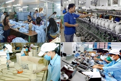 Kinh tế tư nhân: Chủ thể xương sống của nền kinh tế