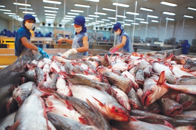 Xuất khẩu thủy sản đón cú hích từ các hiệp định thương mại tự do