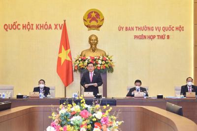 Ủy ban Thường vụ Quốc hội sẽ xem xét giảm thuế môi trường ngay trong phiên họp thứ 9