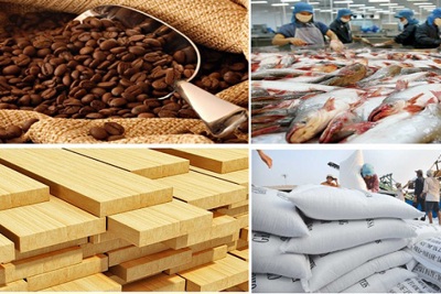 Thiếu thông tin, khó mở rộng xuất khẩu