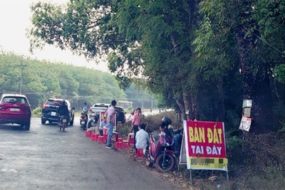 Phía sau làn sóng giá đất tăng chóng mặt thời gian gần đây