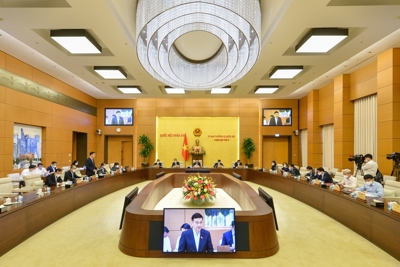 Ủy ban Thường vụ Quốc hội cho ý kiến về giải trình, chỉnh lý dự án Luật Kinh doanh bảo hiểm (sửa đổi)
