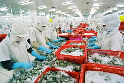 Doanh nghiệp cần nắm vững quy định của EVFTA để tăng xuất khẩu