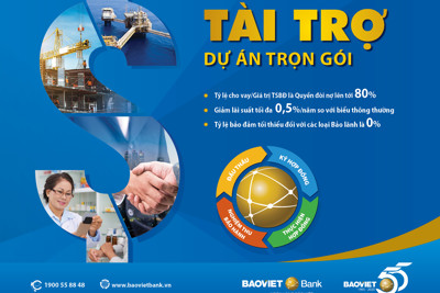 Baoviet Bank tài trợ dự án trọn gói cho doanh nghiệp