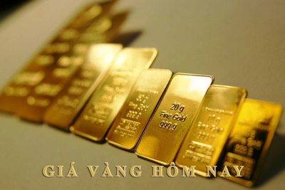 Chênh lệch với thế giới quá cao, không nên mua vàng đầu tư dài hạn