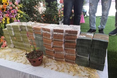 Ngành Thuế tăng cường quản lý thuế đối với giao dịch mua bán “lan đột biến” 