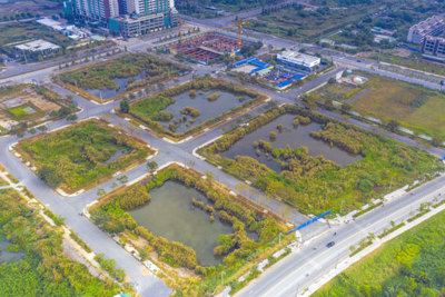 Siết chặt điều kiện tham gia đấu giá đất