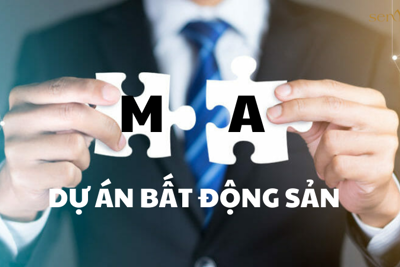 M&A bất động sản bước vào giai đoạn tăng tốc?