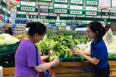 Bao bì lá cây, giấy... trở lại